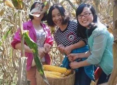 2.掰玉米人員25名，要求至少1年工作經(jīng)驗，手腕有勁手指靈活，拉呱時候能不耽誤干活，皮糙肉厚者優(yōu)先：