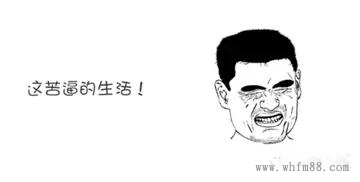 m.xdgjjk.com